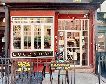 Lucky Dog in Brooklyn